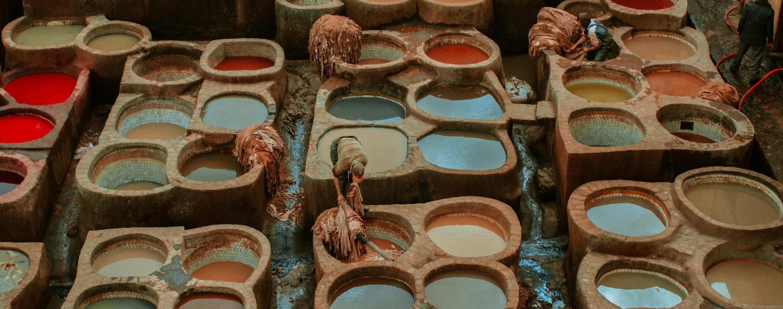 pexels drethousand 8571090 scaled - The Art of Tanning: How Camel Leather is Made - Artnamic - The Art of Tanning: How Camel Leather is Made - Artnamic