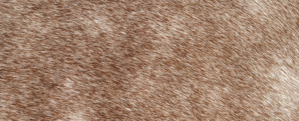 - Types of leather based on their sources of production - Artnamic