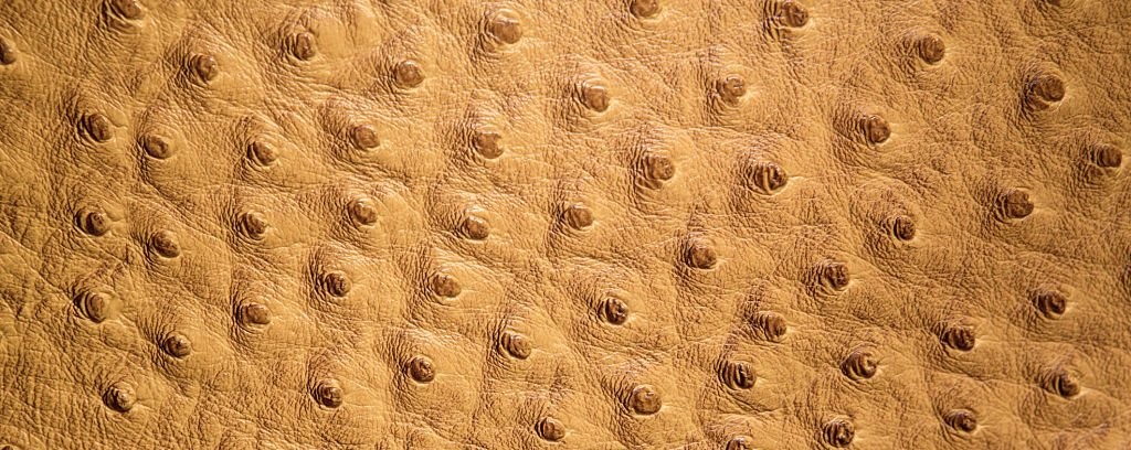 - Types of leather based on their sources of production - Artnamic