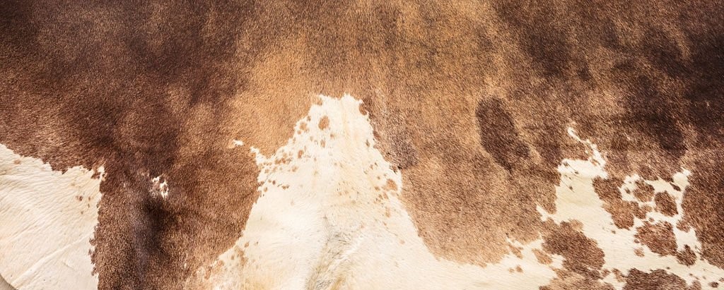 - Types of leather based on their sources of production - Artnamic