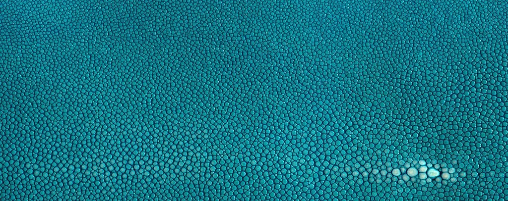 - Types of leather based on their sources of production - Artnamic