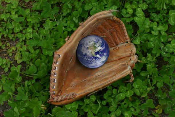 istockphoto 172155868 612x612 1 - Eco-Friendly Leather - Artnamic - Eco-Friendly Leather - Artnamic